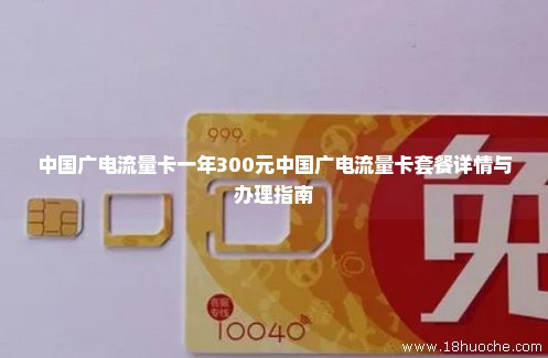 中国广电流量卡一年300元中国广电流量卡套餐详情与办理指南