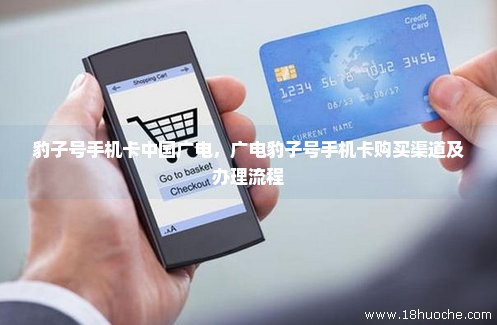 豹子号手机卡中国广电，广电豹子号手机卡购买渠道及办理流程