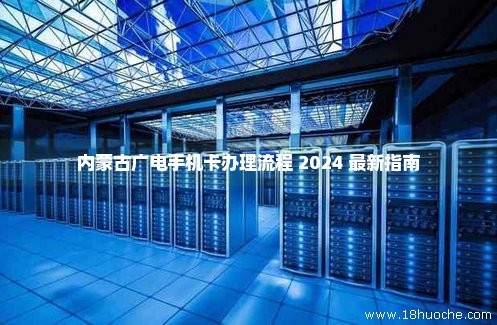 内蒙古广电手机卡办理流程 2024 最新指南