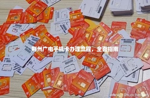 荆州广电手机卡办理流程，全面指南